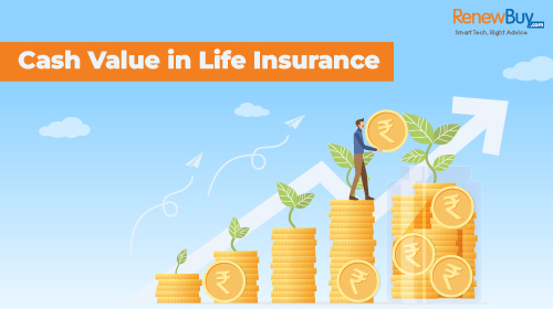 Cash Value in Life Insurance