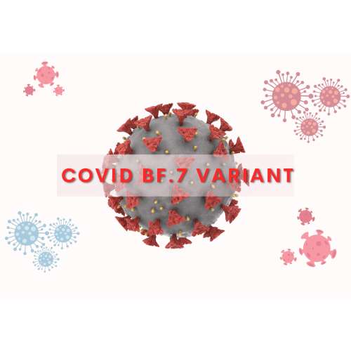 Coronavirus BF.7 Variant in India