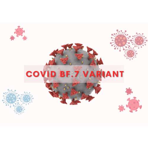 Coronavirus BF.7 Variant in India