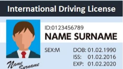  International Driving License Permit