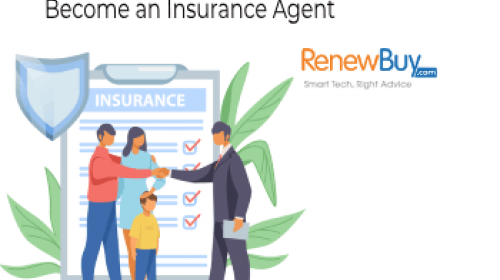 Insurance Agent